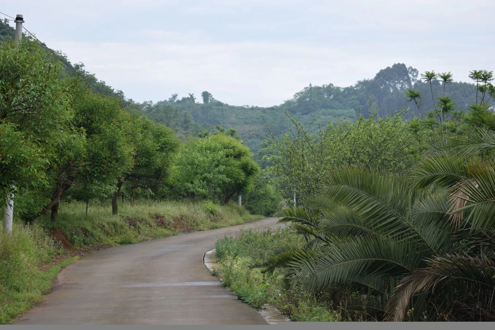 China Adventure Club travel experience