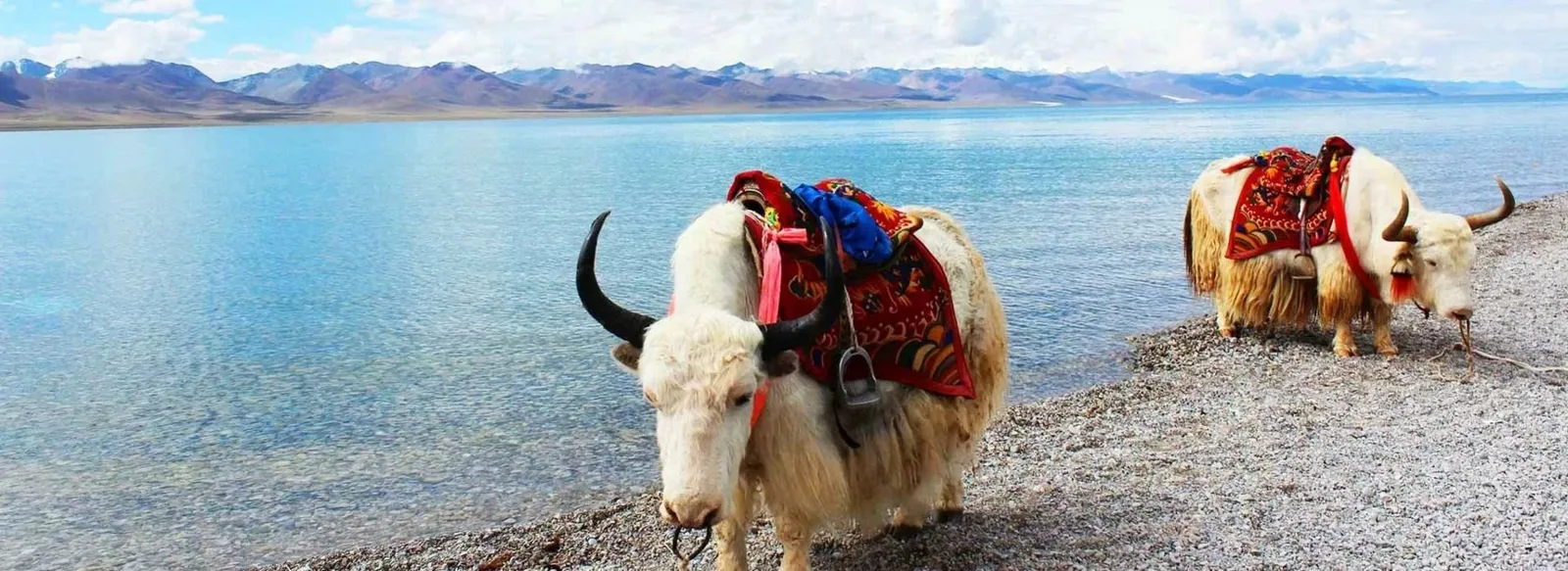 10 Days Everest Base Camp with Lake Namtso Small Group Tour