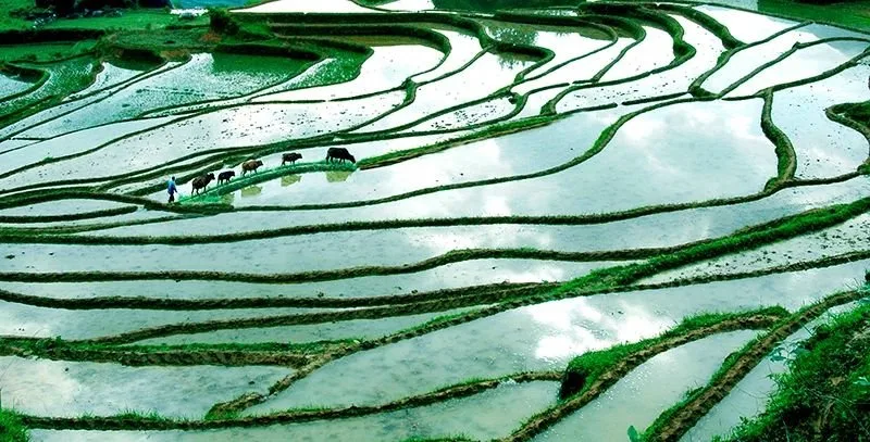 China Adventure Club travel experience