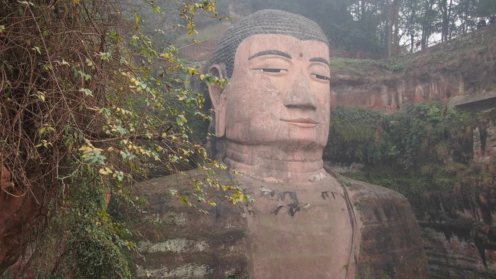 9-Day Sichuan Cycling Tour: Pandas, Tea Towns & Leshan — destination photograph