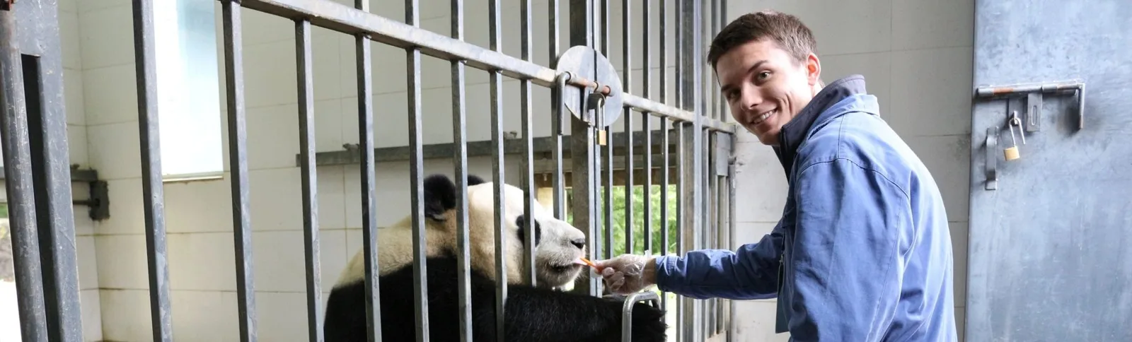 Be A Panda Volunteer in Panda's Hometown in Chengdu