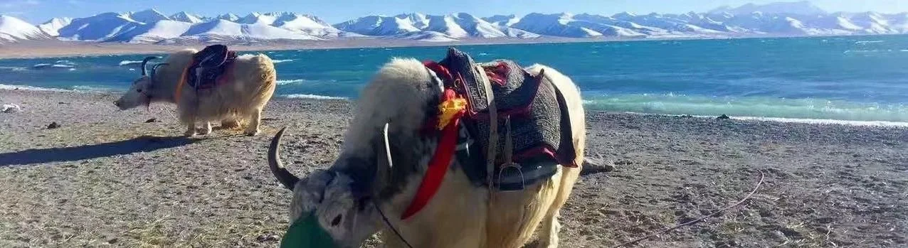 6 Days Travel to Sky Lake - Lhasa and Lake Namtso Small Group Tour