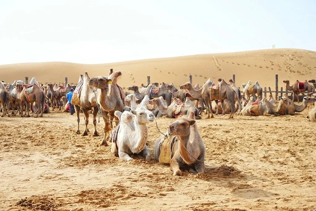China Adventure Club travel experience