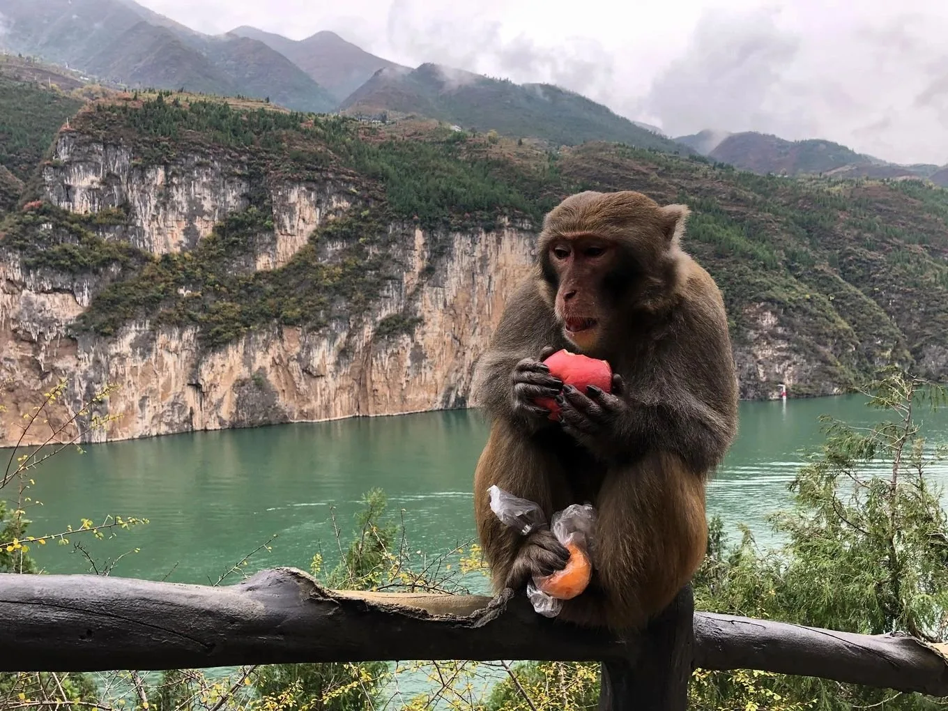 China Adventure Club travel experience