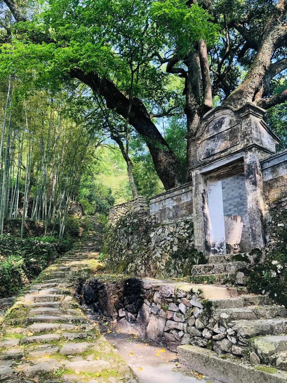 China Adventure Club travel experience