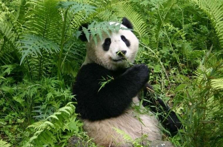 China Adventure Club journey