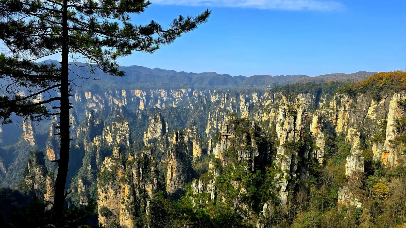 Find Pandora in Zhangjiajie’s Avatar Mountains