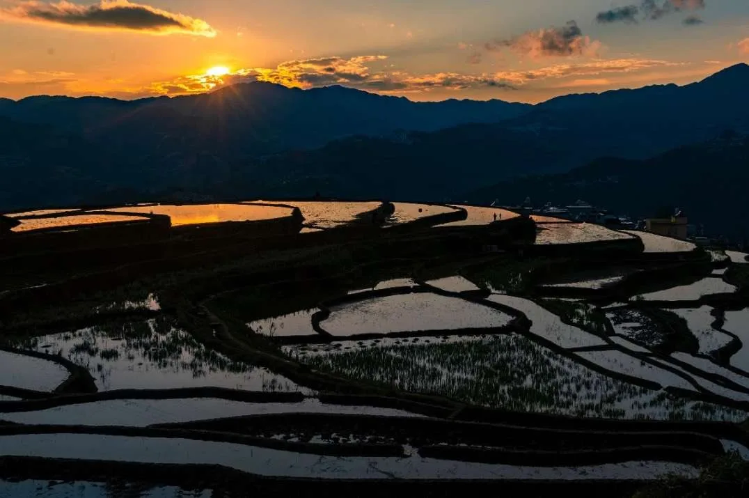 Samaba Rice Terraces