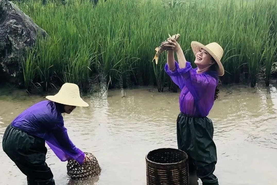 Fishing in the rice terraces
